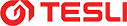 Компания «Тесли» Компания «Тесли»